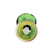 Thinking Putty Chameleon